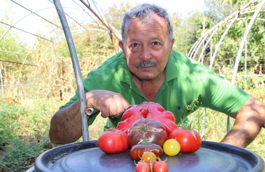 Bir buçuk dönüm arazide yerli tohumdan bin bir çeşit ürün yetiştiriyor! Görenler hayrete düşüyor