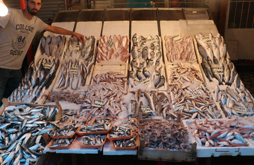 Tezgahlar balıkla doldu taştı fiyatlar yarı yarıya düştü