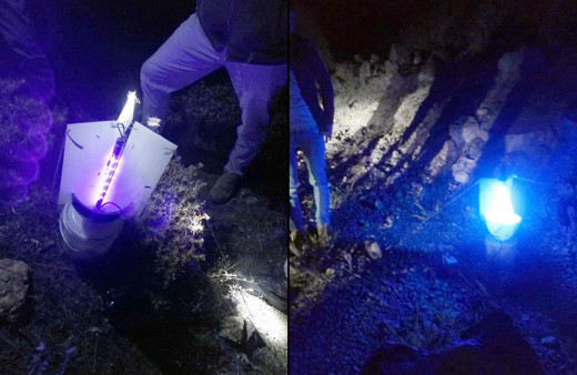 Gümüşhane'de kelebek yakalayan yabancı uyruklu 2 kişiye para cezası