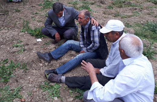 Kestiği ağacın altında kalarak can verdi