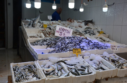 Av sezonu geldi! Hamsinin fiyatı dibi gördü