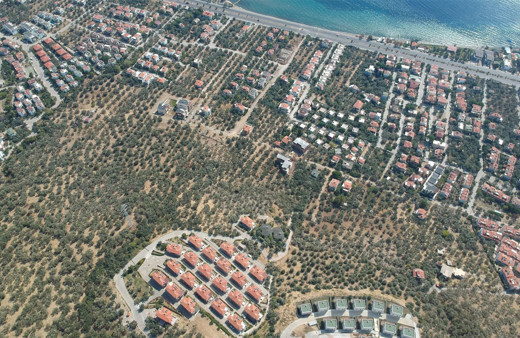 Kaz Dağları yakınında villa yapımı için 2,5 milyon zeytin ağacı kesildi