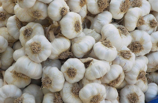 Zam şampiyonu olmuştu! Sarımsak ithalatında gümrük vergisi düşürüldü