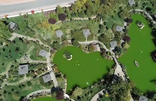 Konya'daki bu park Japonya'daymış hissi uyandırıyor