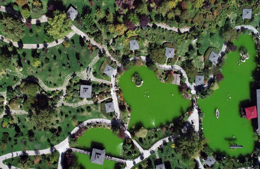 Japonya'daymış hissi uyandırıyor ama bu park Konya'da