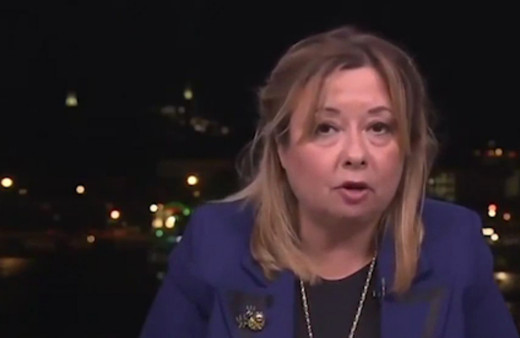 Erdoğan'ın başdanışmanı Gülnur Aybet'ten uluslararası medyaya ayar!