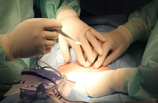 Yılbaşından bu yana 7 bin 263 organ ve doku nakli yapıldı