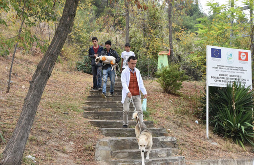 Kalede 1 haftadır mahsur kalan köpekler kurtarıldı