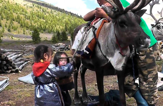 Sayan Dağı yamaçlarında kayıp Türkler Dukhalar'ın zorlu yaşam mücadelelerine bakın