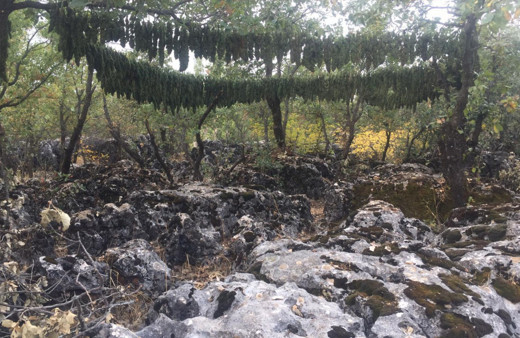 Diyarbakır'da terör örgütü PKK'ya büyük "uyuşturucu" darbesi! 4 ton esrar ele geçirildi