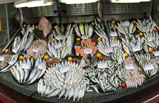 Balıkçılar gün sayıyor: Denizlerde av yasağına son 6 gün