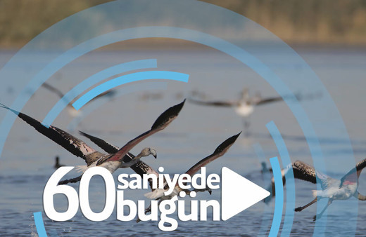 60 saniyede bugün (25 Ekim 2019)