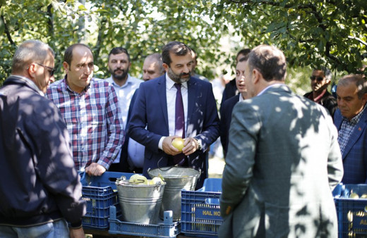 Kadına Şiddet konusuna 'Elimiz armut topluyor" sloganıyla dikkat çektiler