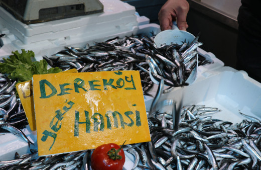 Hamside av yasağı süresi uzatıldı! İşte yeni tarih