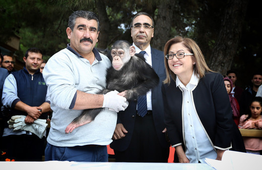 Sevimli makak maymunu yavrularının isimleri belirlendi