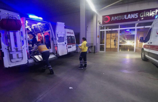 Aydın'da dağdan topladıkları mantarı yiyen 3 kadın hastanelik oldu