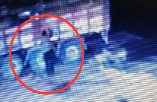 Ordu'da üzerine kamyondan tomruk düşen şoför hayatını kaybetti