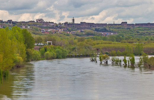 Güneydoğu'nun kuş cenneti Diyarbakır'daki 8 bin yıllık Hevsel Bahçeleri