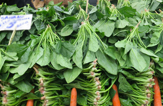 İşte Ispanağa karıştığı belirtilen bitkinin fotoğrafı