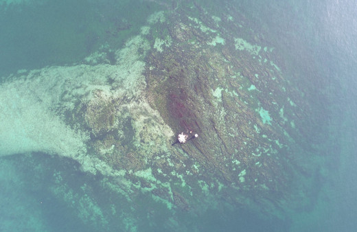 Şener Üşümezsoy açıkladı! İstanbul'da Vordonisi adası hangi depremde battı