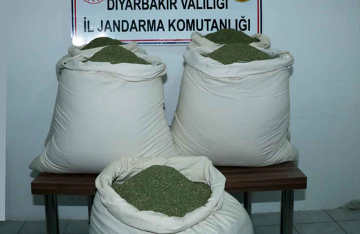 Öğrenci servisinde 176 kilogram esrar ele geçirildi