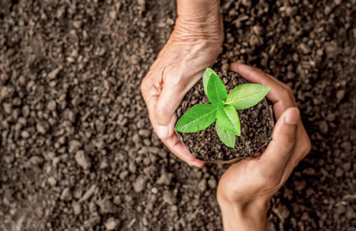 Geleceğe Nefes kampanyası katılım belgesi alma sayfası