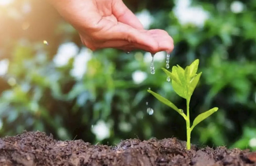 Geleceğe Nefes Ol kampanyası katılım belgesi alma nasıl olur?