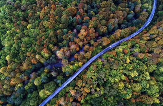 İstanbul ormanları sonbaharın renklerine büründü