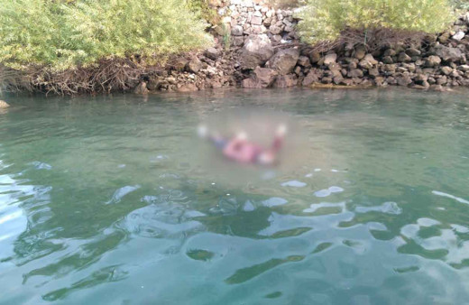 Tekne turu yapan turistler gördüklerine inanamadılar