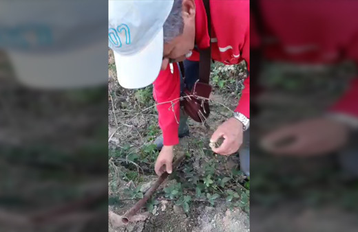 Bursa'da bir günde 5 kilogram trüf mantarı toplayan adam binlerce lira kazandı