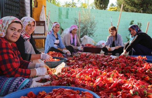 Tarım işçisi kadınlar kooperatif kurdu, kendi ürünlerini satıyorlar