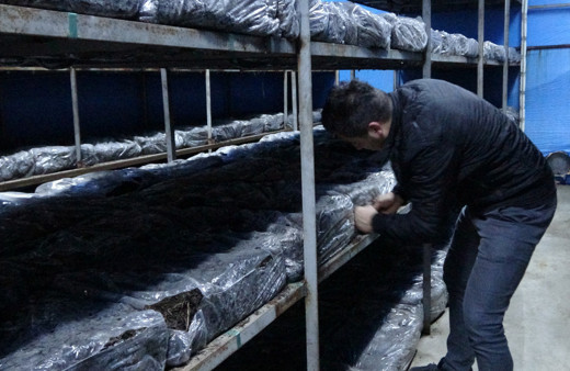 Ayda 3 bin 500 lira geliri var! Evin bodrum katında bile yapılabiliyor