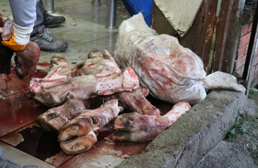 Sakarya'da şok eden görüntüler  20 ton kaçak et bulundu