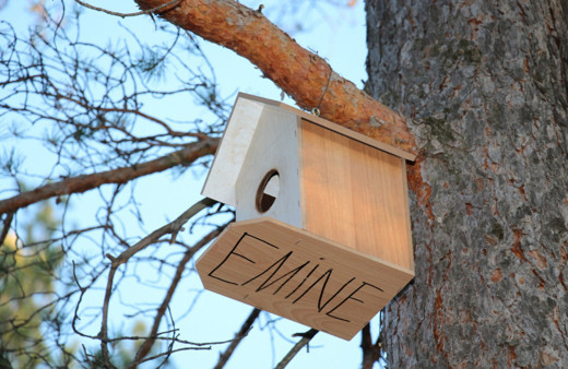 Oltulu usta 'bir kuş da sen barındır' dedi! Kampanyasına destek yağdı