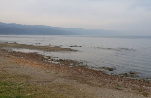 İznik Gölü'nde ürküten görüntüler 25-30 metreyi buldu