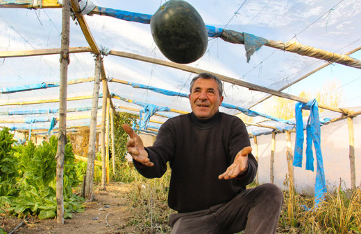 Iğdırlı çiftçi tohumları ninesinin sandığında buldu! Şimdi paraya para demiyor