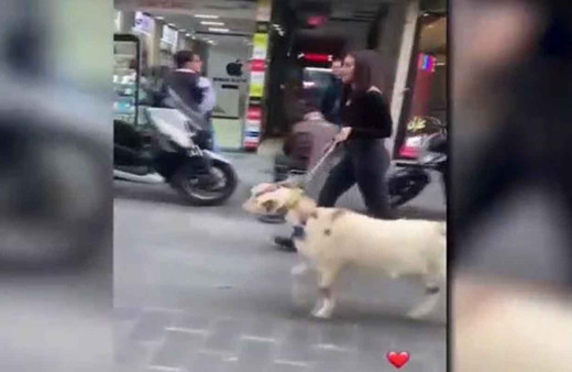 Hamdi Alkan'ın kızı Zeynep Alkan, İstiklal Caddesi'nde keçi gezdirdi