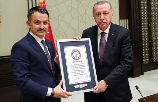 Belge Erdoğan'a verildi Türkiye 11 Kasım'da en fazla fidan dikme dünya rekoru kırdı