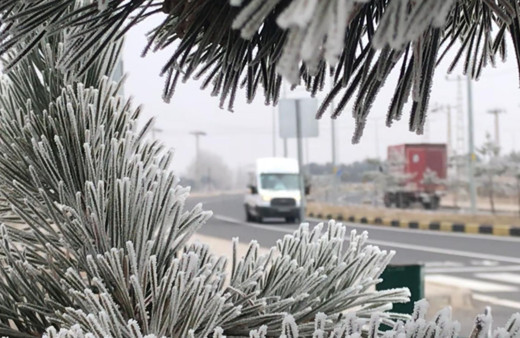 Kars Sarıkamış soğuktan kırağı tuttu sular dondu