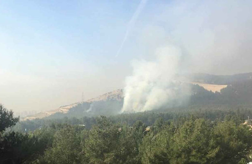 Çocukların ateşle oyunu ormanı yakıyordu