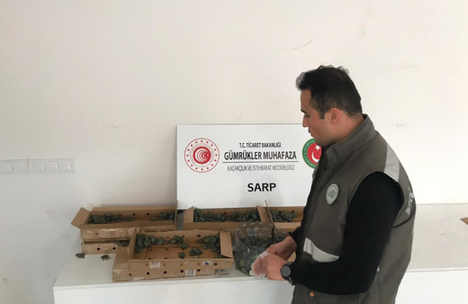 Artvin'deki Sarp Sınır Kapısı'nda pizza kutusundan çıkanlar şaşkına çevirdi!