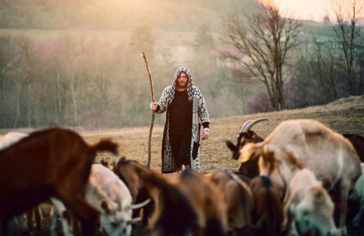 İŞKUR'dan çobanlık akademisi: Haftada 5 gün eğitim harçlık devletten