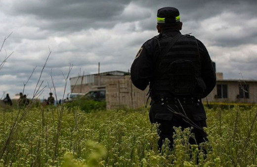 Meksika'da bir çiftlikte 14 ceset bulundu