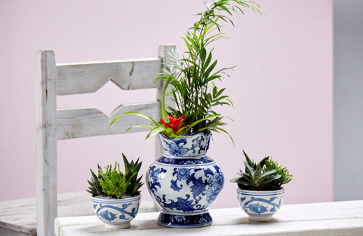 Objeli bitkilendirme nedir dekorasyonda en son trendler!