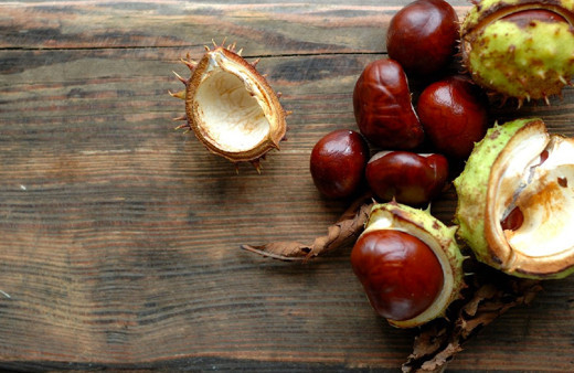 At kestanesinin faydaları neler şah damarına sürüldüğünde kan dolaşımını düzenliyor!