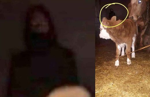 Ardahan'da çekilen esrarengiz görüntü sosyal medyada gündem oldu