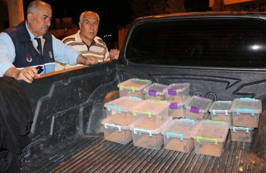 Mardin'de ele geçirildi! Kilosu 10 milyon dolar
