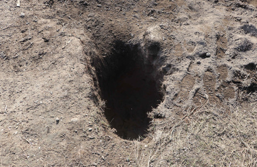 Diyarbakır Bismil'de dedikodusu çıktı duyan koştu Avrupa'dan gelen bile var