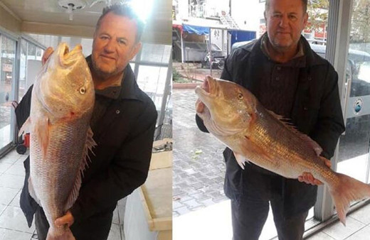 Zor işi başardı! Oltasına 9 kilo 100 gramlık sinarit takıldı