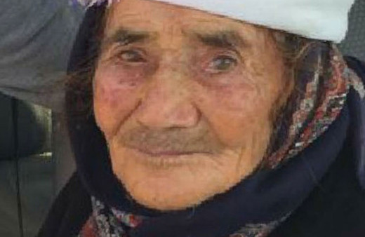 Manisa'da sokak köpeği, yaşlı kadının yüzünü parçaladı